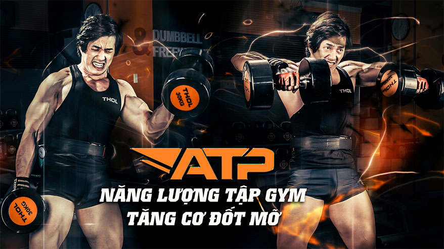ATP năng lượng tập gym 