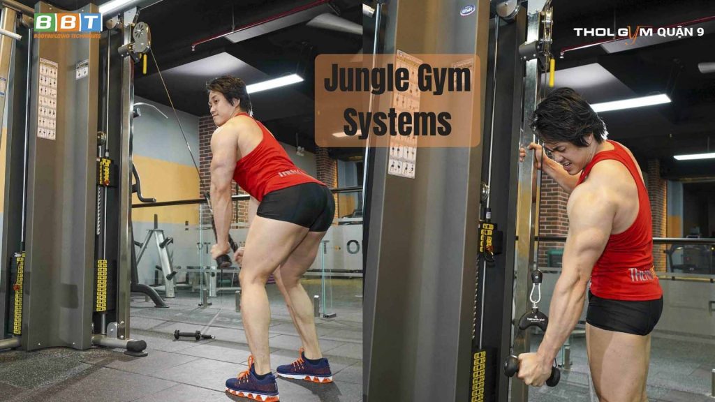 Jungle Gym Systems