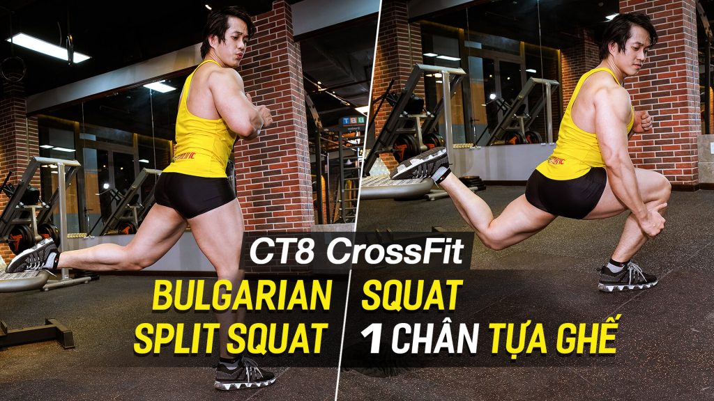 Bulgarian Split Squat / Squat 1 chân tựa ghế, giúp mông đùi sexy trên CT8