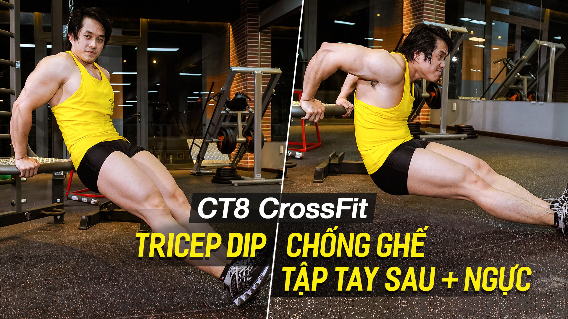 Triceps Dip - Hướng dẫn tập tay sau săn chắc, ngực cắt nét trên máy CT8 