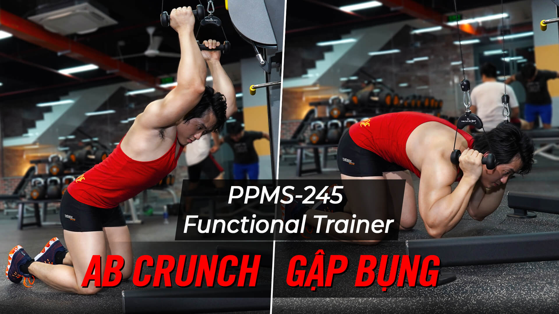 AB Crunch - Cách gập bụng trên máy Functional Trainer (PPMS-245)