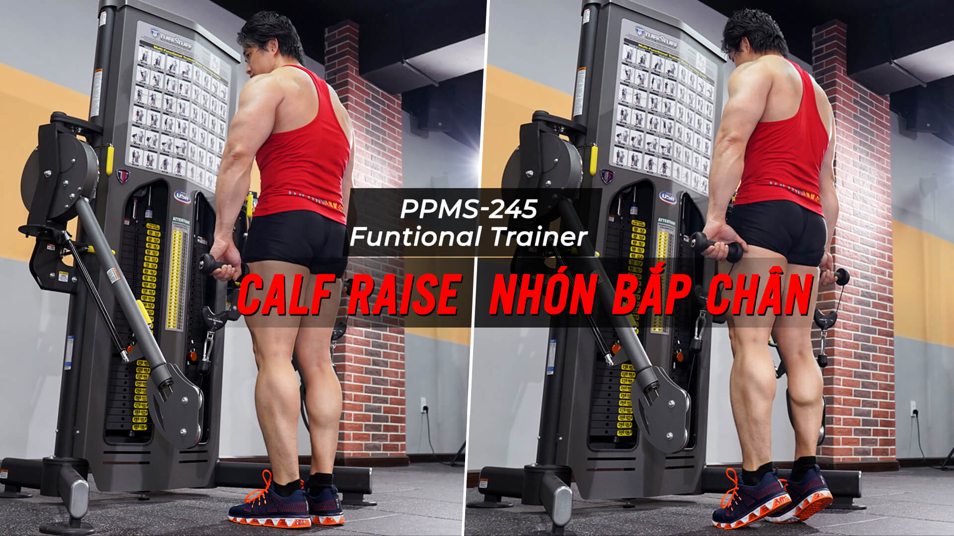 Calf Raise - Cách tập nhón bắp chân với Functional Trainer (PPMS-245)