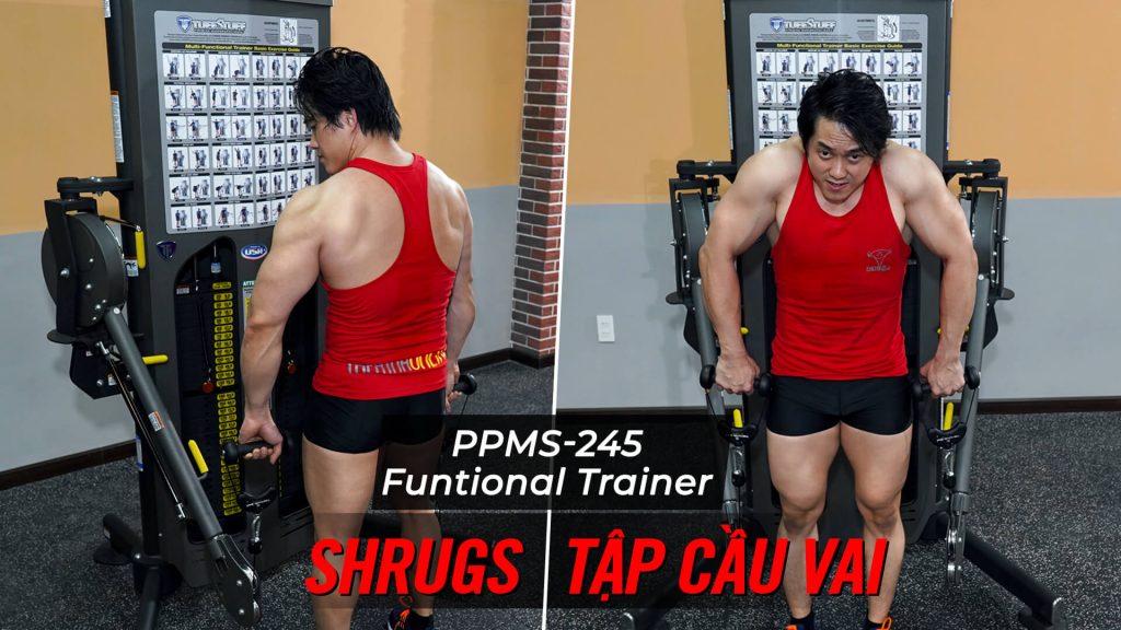 Shrugs - Hướng dẫn tập cầu vai trên máy Functional Trainer (PPMS-245)