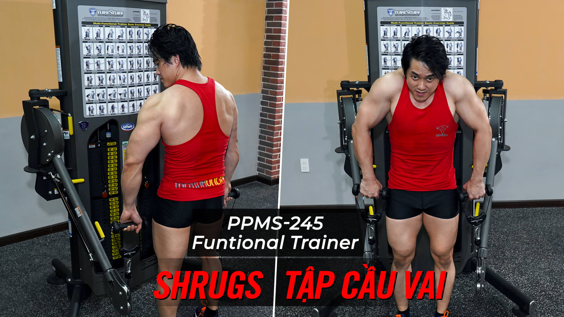 Shrugs - Hướng dẫn tập cầu vai trên máy Functional Trainer (PPMS-245) 