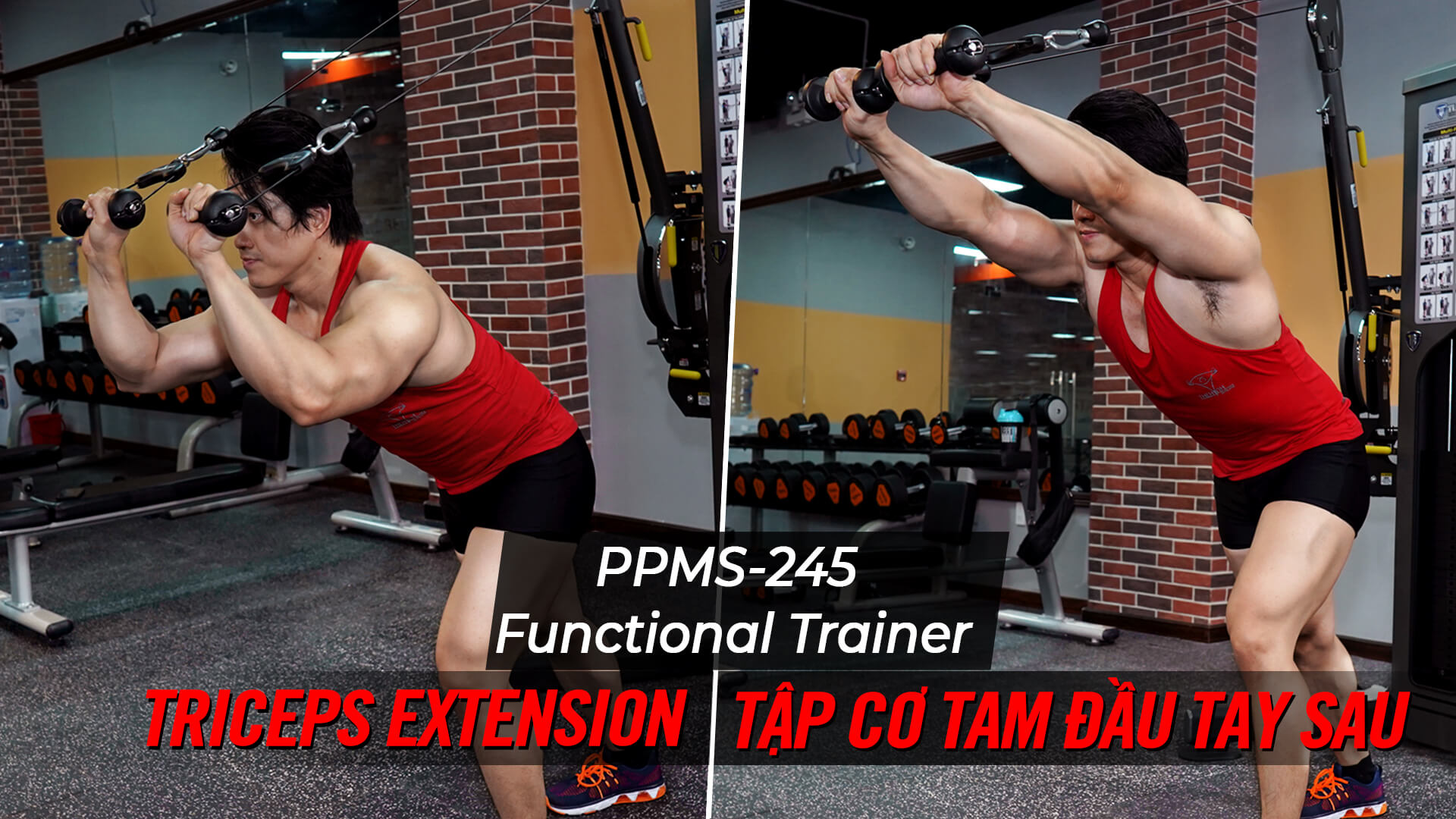 Triceps Extension - Cách tập tay sau với Functional Trainer (PPMS-245) 