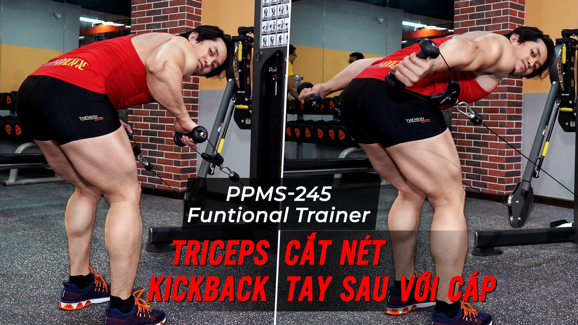 Triceps Kickback - Hướng dẫn tập cắt nét tay sau trên Functional Trainer 