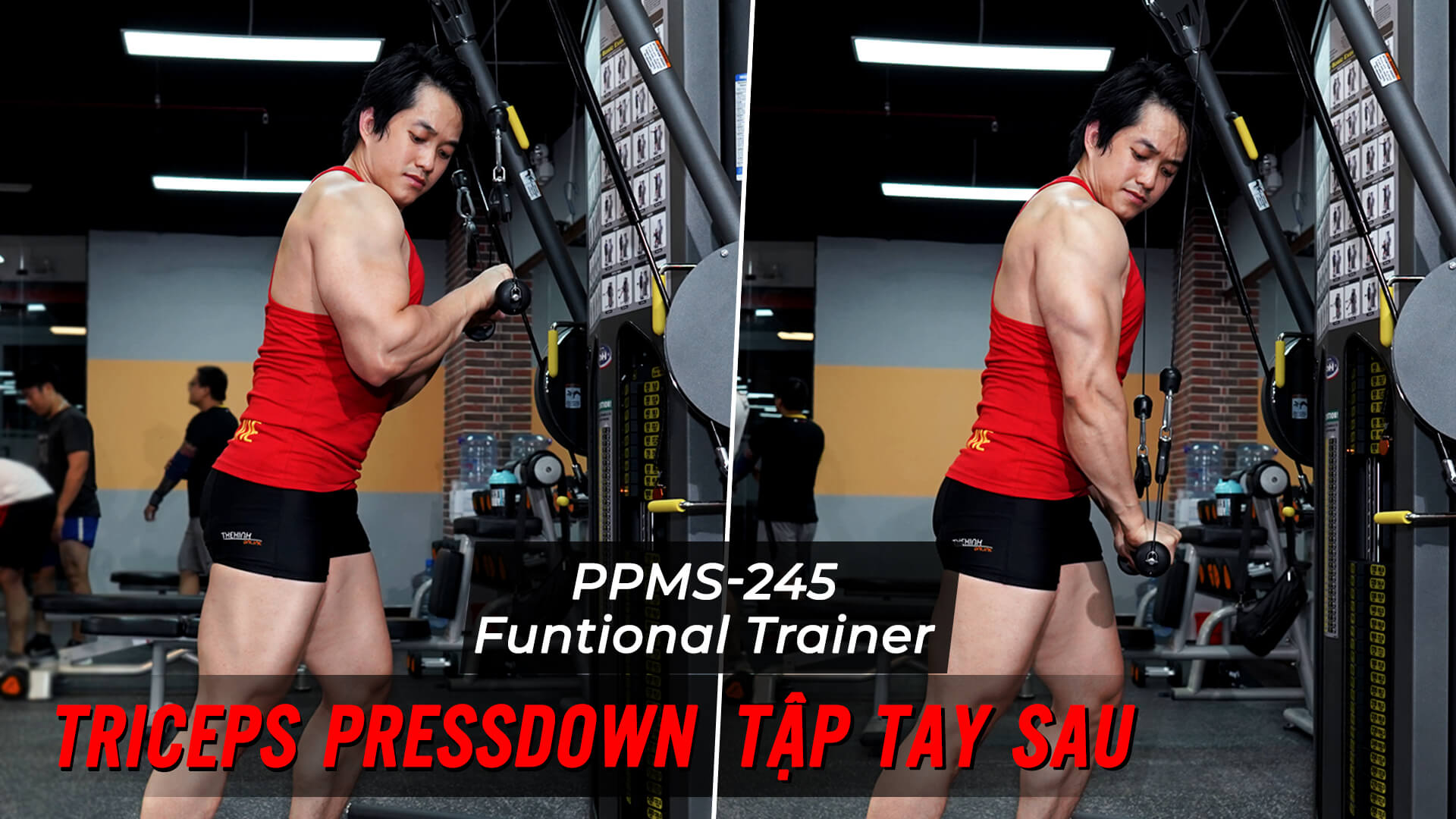 Triceps Pressdown - Bài tập giúp phát triển tay sau với Functional Trainer 