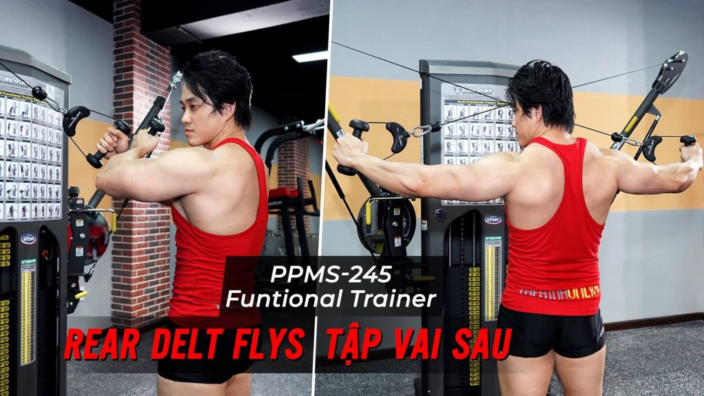 Rear Delt Flys - Hướng dẫn tập vai sau với Functional Trainer (PPMS-245)