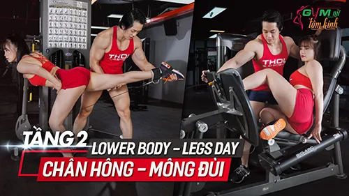 Tầng 2 Ngày 1: Lower Body - Legs Day